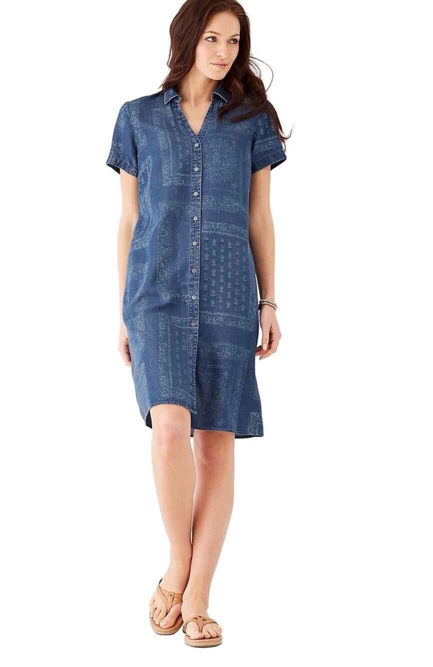 J.Jill Bandana Print Shirt Dress Medium Blue Tencel Lyocell Pockets V-Neck
